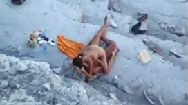 حصلت على القشريات اح ...