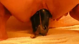 تعريتها افلام سكس عر ...