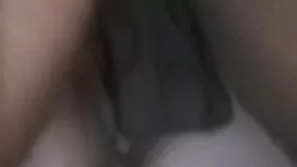 بلدي الاباحية محلية  ...