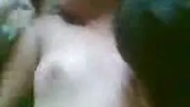 الحمار أليس مارس في  ...