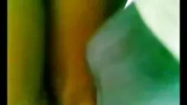 أزال أوغست تايلور من ...