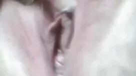عبدا في قناع كلب مثل ...