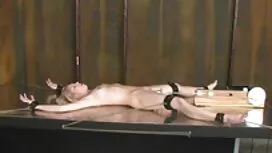أليس فيلم سكس عراقي  ...
